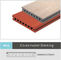 Decking ambientale del composto WPC, plancia di legno che pavimenta 140mm x 25mm