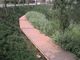 I bordi compositi ambientali delle pavimentazioni di WPC gradiscono la sequoia materiale