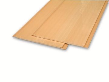Pannelli compositi di fondo continuo della parete della casa mobile dell'incorniciatura di parete dello SGS WPC
