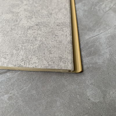 Pannello di parete moderno di Wpc del laminato plastico impermeabile per la decorazione interna