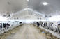 Alta lucentezza che stampa 5mm - i pannelli per soffitti del PVC di 10mm per l'azienda agricola CE tetto/murano