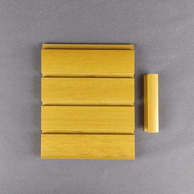 Alto pannello di parete impermeabile lucido del garage per la decorazione sospesa interna